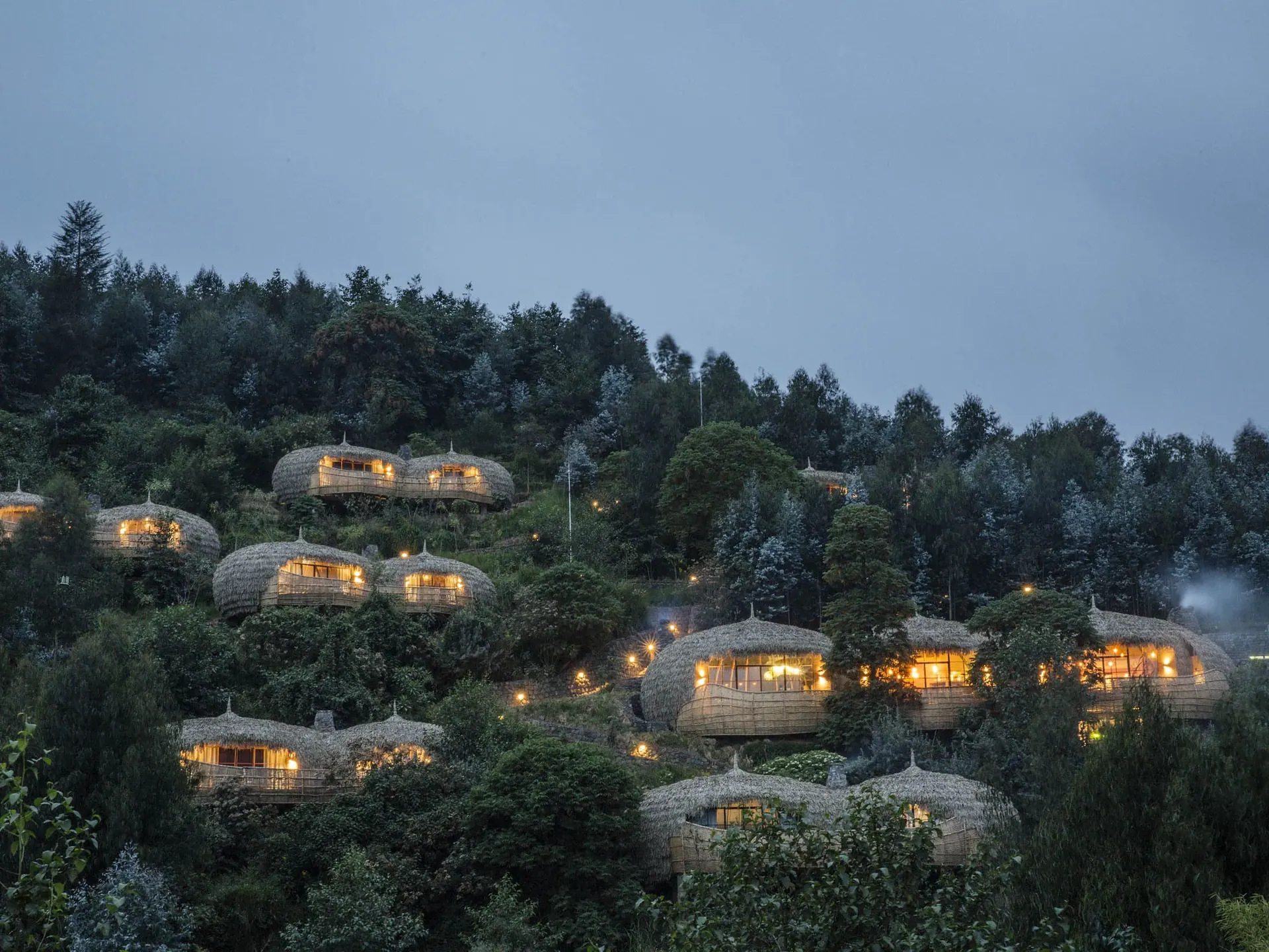 Forest lodge villas lit at dusk