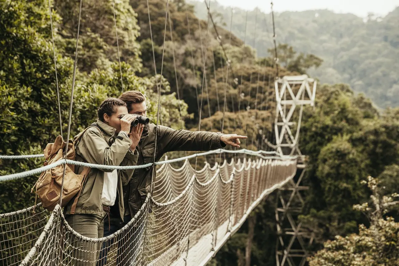 The canopy walkway suspended above Nyungwe Forest