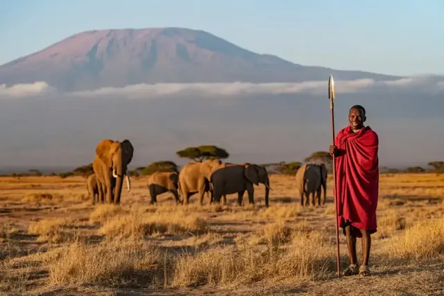A Maasai herder with elephants below Kilimanjaro