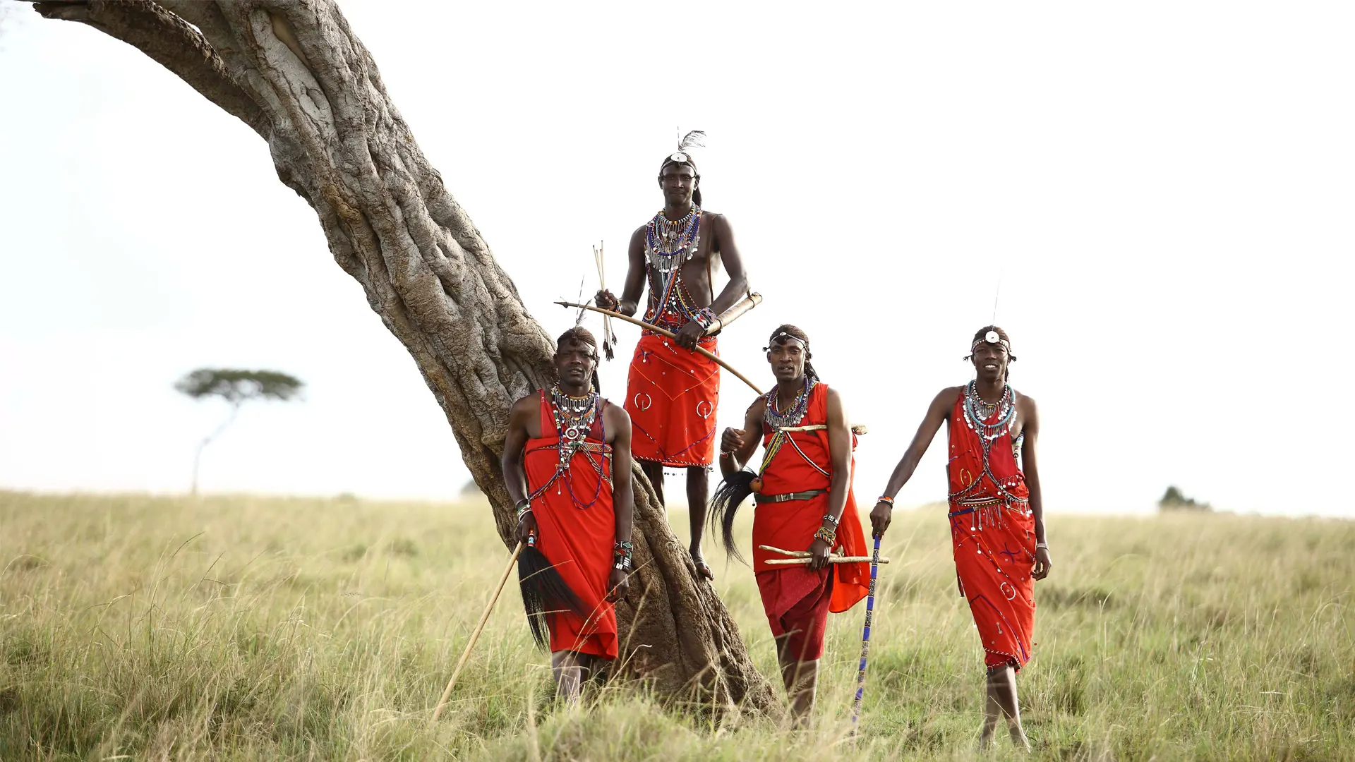 Maasai elders standing beneath an acacia in the Mara