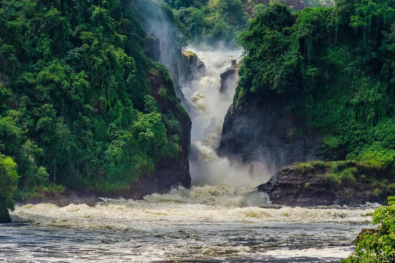 The Nile forced through the gorge at Murchison Falls