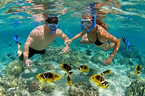 Snorkellers over a shallow reef off Zanzibar